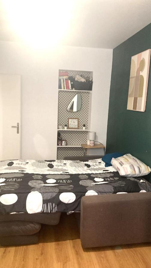 Chambre En Appartement Haussmannien En Centre Ville แซงต์-เอเตียน ภายนอก รูปภาพ