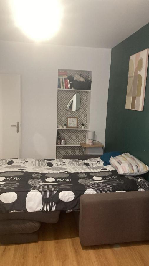 Chambre En Appartement Haussmannien En Centre Ville แซงต์-เอเตียน ภายนอก รูปภาพ